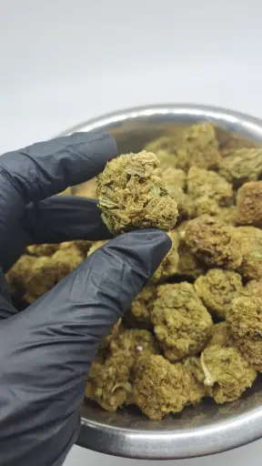 Scarface Trim Greenhouse CBD